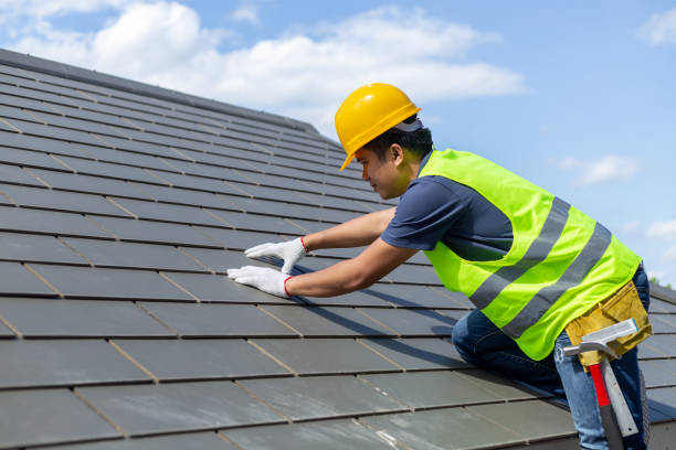 Best Roof Moss and Algae Removal  in Monterey, TN